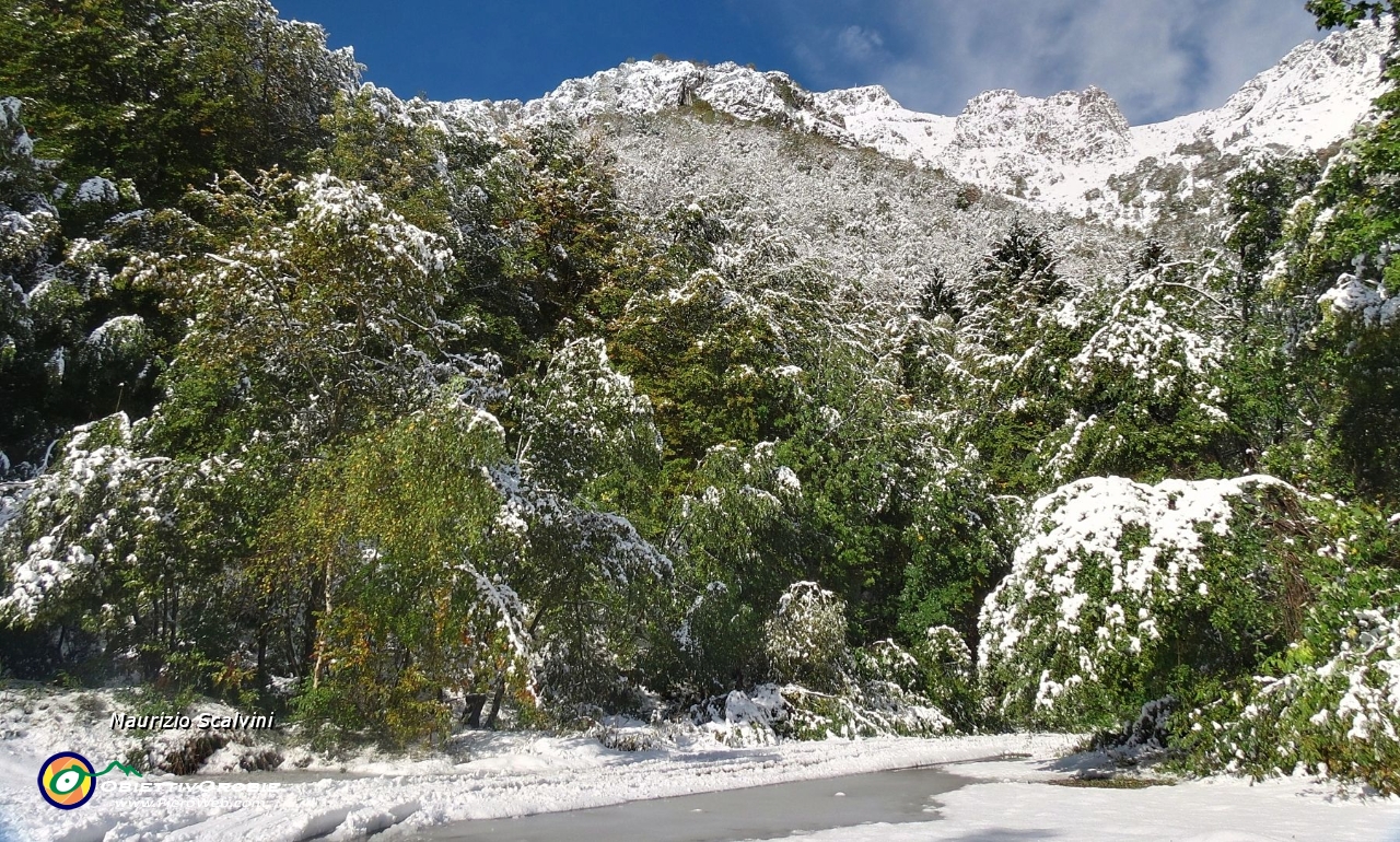 16 Il sole splende e riappare propotente il verde....JPG